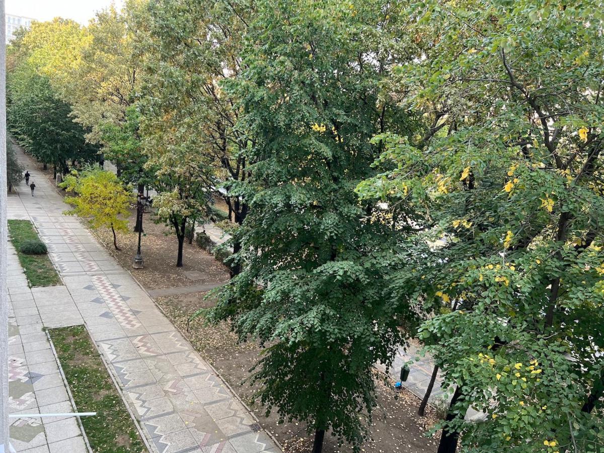 Unirii Central Fountains View Apartment Bucureşti Ngoại thất bức ảnh